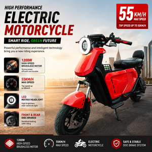 Moto tout-terrain électrique 1200W sans balais 60V 14 pouces, longue portée, étanche, pour adulte, avec freins à disque - Product Image 1