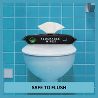 Lingettes humides biodégradables pour adultes, personnalisables avec logo, 99,9 % d'eau, aloe vera, vitamine E, jetables dans les toilettes, douces, écologiques, pour la maison