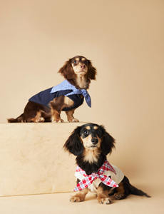 JXANRY-Gilet sans manches bleu marine pour chien, collection printemps-été, vêtements en polyester solide pour Teddy <span class=keywords><strong>Schnauzer</strong></span> Yorkie Dachshund - Product Image 5