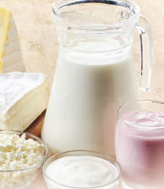 QeiChem Lipase Catalyst From Shandong| Alibaba.com