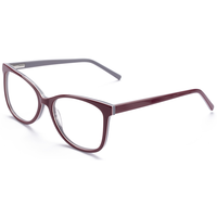 Elan Optical RD26012 Meilleure Vente Monture de Lunettes Classique Oeil de Chat Plein Cercle en Acétate pour Femme Fourniture Directe Usine