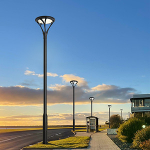 Nouveau design de lampadaires étanches IP65 en aluminium personnalisés 3m 4m 5m Path Park Light Landscape Lawn Light - Product Image 6