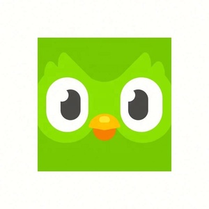 บัญชี Duolingo Pro ระดับพรีเมียม 1 ปี ใช้ได้ทั่วโลก เปิดใช้งานบัญชีของคุณเอง - Product Image 4
