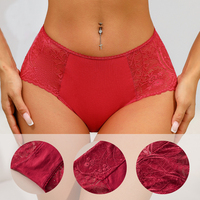 Vente Chaude Lingerie Femme Sexy Entièrement en Dentelle Taille Mi-Haute Respirante Culottes pour Femme Vente en Gros Personnalisée Grande Taille Usine de Lingerie