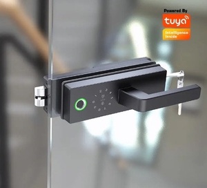 Thông minh khóa cửa xử lý cho Hợp kim kẽm cửa kính không khung với tuya wifi thông minh ứng dụng và lưu trữ đám mây - Product Image 2
