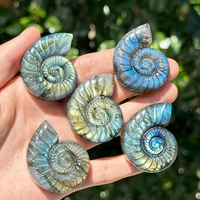 Venta al por Mayor de Cristales Naturales de Alta Calidad Tallados a Mano, Artesanías Creativas de Cristal, Fósil de Amonita Labradorita, Piedra Curativa para Decoración