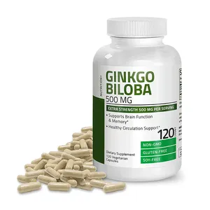 Ginkgo Biloba kapsül 500 mg ekstra mukavemet 500 mg servis destekler beyin fonksiyonu ve bellek desteği erkekler ve kadınlar için kadın