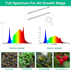 Cao PPF 4000K 5000K 660nm <span class=keywords><strong>LED</strong></span> Tích Hợp Kết Nối Nhà Máy Ánh Sáng 60Cm 90Cm 120Cm 150Cm T5 Samsung Quang Phổ Đầy Đủ Phát Triển Ánh Sáng Ống - Product Image 3