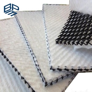 China Manufacturer HDPE 3D Geonet <strong>Geocomposite</strong> <strong>Drainage</strong> Net for Landfill Road Garden <strong>Drainage</strong> - Product Image 5