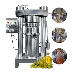 Clean Oil Without Impurities Small Oil Filter Press Machine Sesame Seed Oil Cold Press Machine