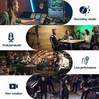 Mini Heim-Livestream-Kit USB 26mm Kondensatormikrofon Kopfhörer Soundkarte 2-Kanal Klarer Ton Broadcast-Aufnahmeset