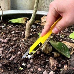 Garden Loop Hand Weeder Manual <b>Weed</b> Remover <b>Tools</b> Portable Hand Loop Weeding <b>Tool</b> for Removing <b>Weed</b> Roots - Product Image 1