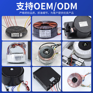 หม้อแปลงไฟฟ้าแบบวงแหวน Yiqiang รุ่น DJ901 240V 50Hz เฟสเดียว สำหรับงานเสียง ใช้แกนทองแดงทั้งหมด - Product Image 3