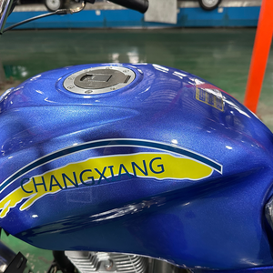 Promoción en stock: Motocicleta <span class=keywords><strong>de</strong></span> 250cc, 3 ruedas, gran capacidad <span class=keywords><strong>de</strong></span> subida, triciclo <span class=keywords><strong>de</strong></span> carga a gasolina para <span class=keywords><strong>transporte</strong></span> acuático en África - Product Image 3