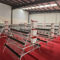 Nouvelle cage à poulets automatique à 3 niveaux en acier galvanisé à chaud de type A pour l'élevage de poulets sur le marché africain