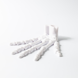 Thiết kế phổ biến <span class=keywords><strong>3D</strong></span> in xương sọ Đồ chơi thú vị dịch vụ tạo mẫu nhanh cho sinh viên - Product Image 5