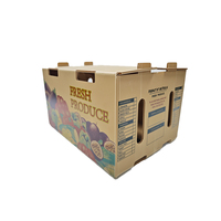 Boîte en plastique ondulé Coroplast PP empilable, imperméable, réutilisable et recyclable pour l'emballage de légumes, fruits, fruits de mer et viande Yuexin