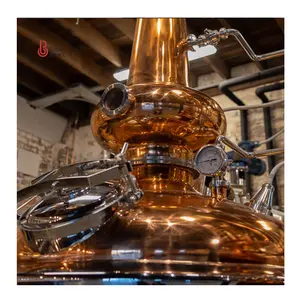 Copper Pot Whiskey Still 500l Multifunctional Whiskey Vodka Gin Rum Column Alcohol Distiller Multifunctional Distiller