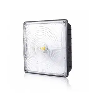 ETL DLC Gas Xăng Trạm Chiếu Sáng 40W 60W 80W 100W Led Tán Ánh Sáng 150W