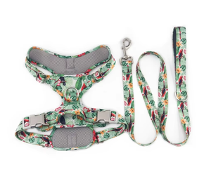 אביזרים לחיות מחמד pecheras para perro אופנה דפוס מותאם אישית לחיות מחמד אפוד טיולים רגליים לא למשוך הרצועה כלב ולרתמות - Product Image 2