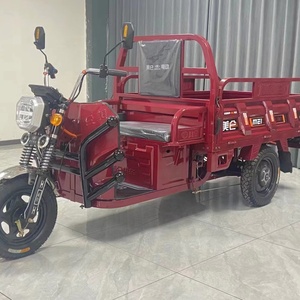 Tricycle Électrique 1500W de Fabrication Chinoise, Batterie au Plomb 60V 32AH 45AH 52AH 58AH, Tricycle Motorisé de Transport, Options de Puissance 1000W 800W - Product Image 2