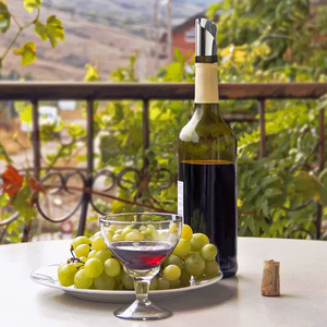 Cadeau promotionnel personnalisé nouveauté disque en aluminium Flexible bouteilles de <span class=keywords><strong>vin</strong></span> fines disque verseur en argent pas de goutte à goutte - Product Image 6