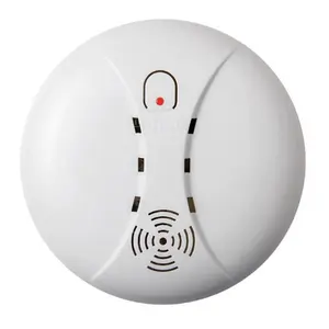 Excellent Quality Wireless Fire Alarm smoke detector from China manufacture