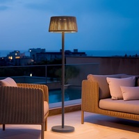 Lampu LED Tenaga Surya Luar Ruangan Tahan Air untuk Dekorasi Taman & Halaman Villa dengan Peringkat IP65