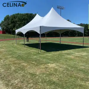 Celina-carpa grande para eventos al aire libre, carpa de lujo para boda, fiesta, barata, 15X30