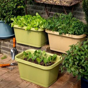 Jardinera Rectangular de Plástico para Balcón, para Cultivar Cebollín - Maceta Extra Grande para Vegetales, Maceta Clásica para Flores - Product Image 2