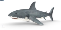 Logo personnalisé annonçant des requins gonflables de décoration extérieure de vente chaude gonflable