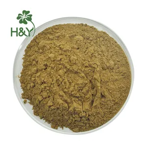 Atacado Alta Qualidade Pure Orégano Leaves Extract Orégano Leaf Extract Powder