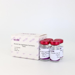 Prueba de control de anticuerpos positivos a Brucella para diagnóstico serológico de SAT/Brucelosis/pruebas de enfermedades en ganado - Product Image 2