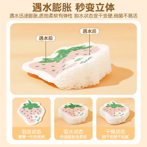 Pintu Fruit Shaped Sponge Kitchen Dishwashing Pad Absorbent Oil Repellent Magic Eraser For Pots And Pans - Product Image 3