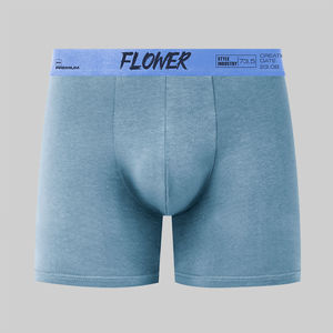 2024 nueva ropa interior masculina de algodón ajustada elástica personalizada, Calzoncillos Bóxer largos, bragas cómodas lisas sin costuras para hombres, ropa interior - Product Image 5