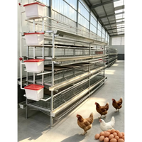 Système de cage à volailles en forme de H galvanisé haute résistance pour poules pondeuses, cailles et petits oiseaux dans les fermes commerciales