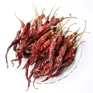 Chiles Rojos Enteros de Primera Calidad para Curry Picante, Encurtidos, Condimento y Cocina Tradicional India de Proveedor Indio - Product Image 2