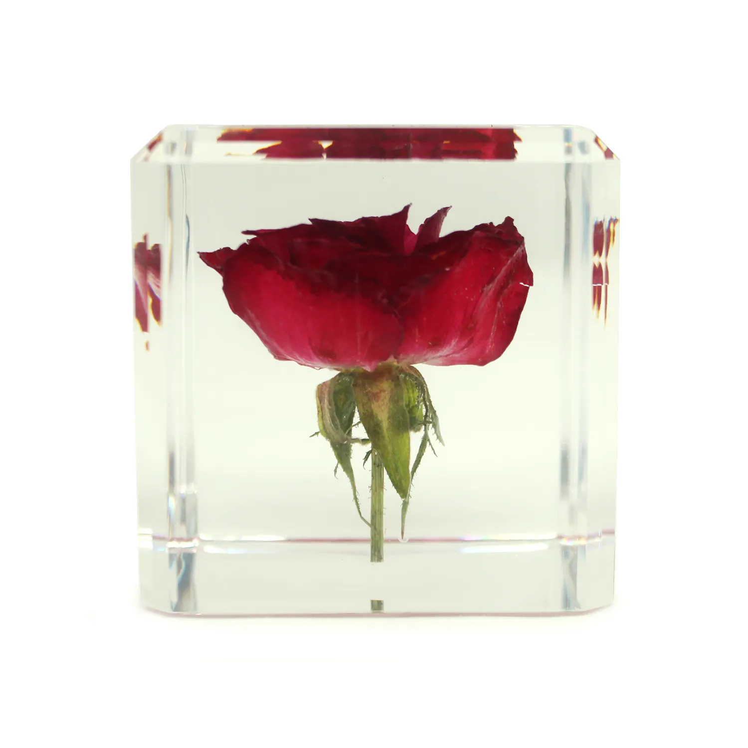 गुलाब संरक्षित स्पष्ट एक्रिलिक Paperweight शिल्प