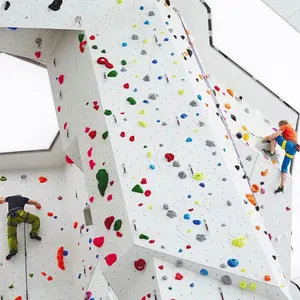 Đầy màu sắc vui chơi giải trí phiêu lưu leo núi thiết bị trò chơi leo núi tường cho trẻ em trong nhà