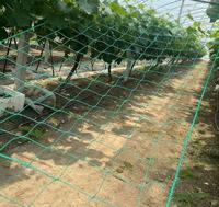 Filet de soutien pour plantes 100% HDPE - Treillis pour concombres, haricots, melons amer, melons de soie et melons suspendus