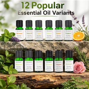 <span class=keywords><strong>Huile</strong></span> <span class=keywords><strong>Essentielle</strong></span> Pure à 100% 15ml Aromathérapie Naturelle Vente en Gros Direct Usine OEM ODM Étiquette Personnalisée Bouteille en Verre Non Diluée - Product Image 2