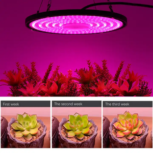 ไฟ LED ไฮโดรโปนิกส์ Ip65กันน้ำ100W 150W 200W 300W 500W LED สเปกตรัมฟูลฟูฟู LED ให้แสงสว่างเติบโตขึ้นแสง - Product Image 5