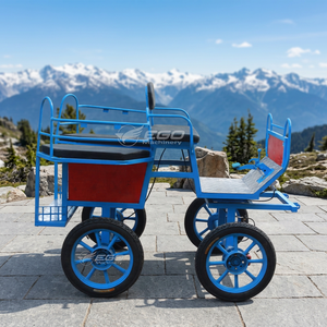 Nouvelle Carrosse de Marathon Style 2026, Mini Carrosse à Chevaux, Carrosse de Marathon, Carrosse à Poney à Vendre - Product Image 1