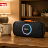 Enceinte Bluetooth portable étanche IPX4 avec haut-parleurs 40W, prise en charge TWS Stéréo, TF, USB, AUX, appels mains libres et LED pour extérieur, maison et fêtes