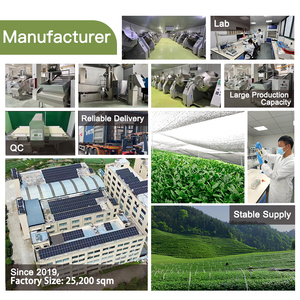Échantillon gratuit <span class=keywords><strong>au</strong></span> niveau de l'étiquette du thé vert biologique <span class=keywords><strong>Matcha</strong></span> 100% pur - Product Image 6