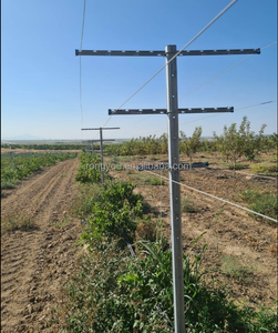 Mạ kẽm nhúng nóng crossarms nho cổ phần cho vườn nho Apple <span class=keywords><strong>Orchard</strong></span> <span class=keywords><strong>trellis</strong></span> - Product Image 1