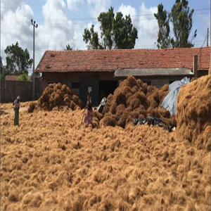 Tapis en fibre de coco de haute qualité, géotextile, style uni, lavable, à poils hauts, économique, ensemble de tapis pour l'érosion des sols - Product Image 3