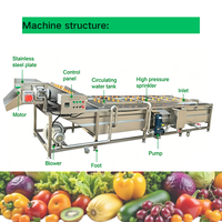 304 RVS groente- en fruitwasmachine, fruitwasser voor bessen, chilipepers en wortelgroenten productielijnen