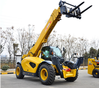 Manipulador telescópico de 4,5 toneladas, manipulador telescópico pequeño de China, manipulador de cargador de pluma telescópica con precio de accesorios
