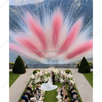 Système de tir de feux d'artifice en forme d'éventail, 15 coups, lanceur pyrotechnique, pour scène de mariage, poudre de fumée colorée, pour événements et célébrations